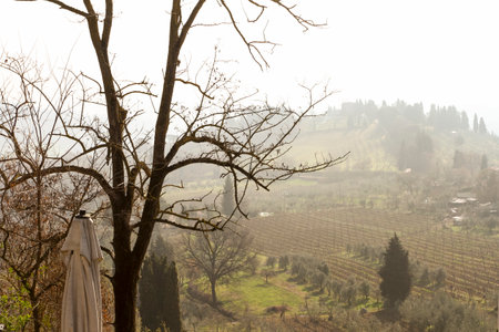 Early foggy morning. Beautiful spring landscape in Tuscany, Italy, Europeの写真素材