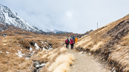 Annapurna, Nepal - November 09, 2018: Tourists going up on the way to Annapurna Base Camp, Himalayas, Annapurna Conservation Area, Nepal.のeditorial素材