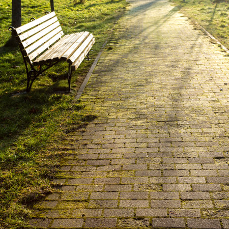 Spring in the city park, wooden brown bench in the rays of sunlight.の写真素材