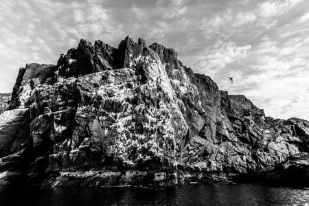 Big cliff on the coastline of Barents sea, Arctic ocean, Kola Peninsula, Russia. Black and white imageの写真素材