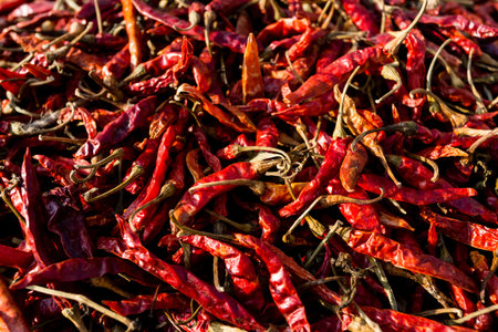 Hot dried red chillies peppers. Traditional mexican cuisine. Healthy vegan food