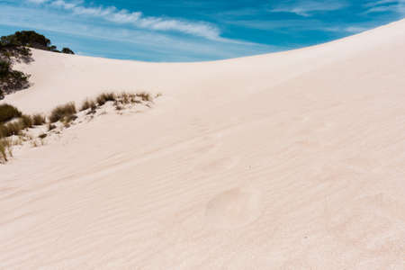 White sand in the Little Sahara desert on Kangaroo Island, South Australiaの写真素材