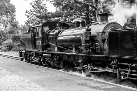 Melbourne, Australia - January 7, 2009: Puffing Billy steam train. Historical narrow railway in the Dandenong Ranges near Melbourne.のeditorial素材