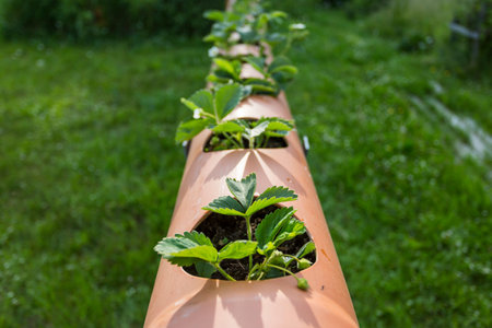 High strawberry garden bed in the round pipe, garden equipment