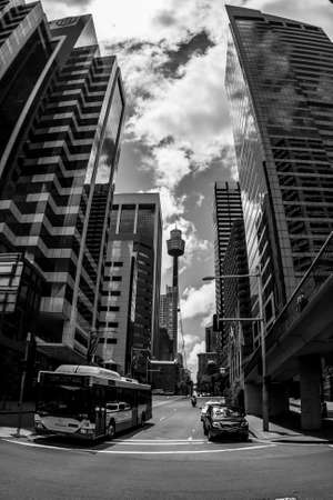 Sydney, Australia - January 12, 2009: Famous Sydney Tower Eye, known as Westfield Tower, between skyscrapers at Sydney street.のeditorial素材