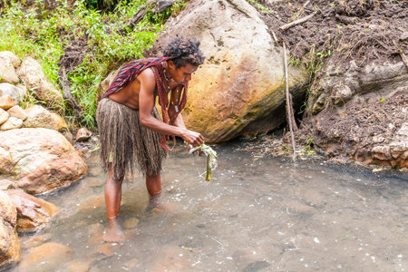 Wamena, Indonesia - January 10, 2010: Dani woman extracting salt using stalks of plants in the Baliem Valley, Papua New Guinea.のeditorial素材