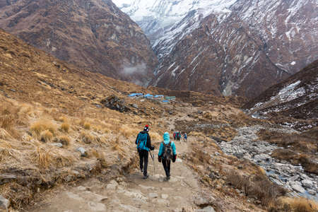 Annapurna region, Nepal - November 10, 2018: Hikers walk the track ABC to Machhapuchhre Base Camp, Annapurna Conservation Area, Himalaya, Nepalのeditorial素材