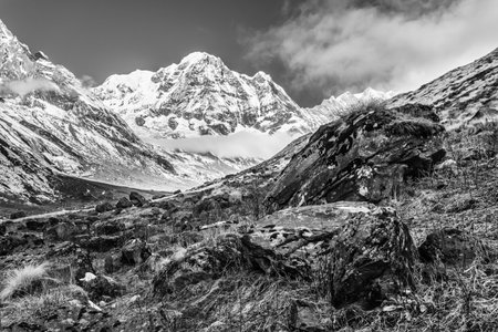 Mount Annapurna South on sunrise, Annapurna Base Camp , Annapurna Conservation Area, Himalaya, Nepal, black and white imageの写真素材