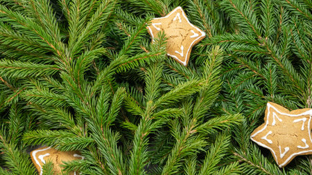 Background of Christmas tree branches with cookies in the shape of starsの写真素材