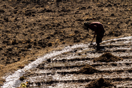 Jarkot, Nepal - November 17, 2015: An elderly woman plowing the land in late autumn