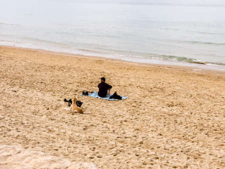 Tel Aviv, Israel - February 4, 2017:Man with his dogs resting on the beach Tel Baruch in Tel Aviv.のeditorial素材