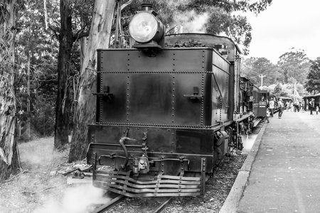 Melbourne, Australia - January 7, 2009: Puffing Billy steam train on the station. Historical narrow...