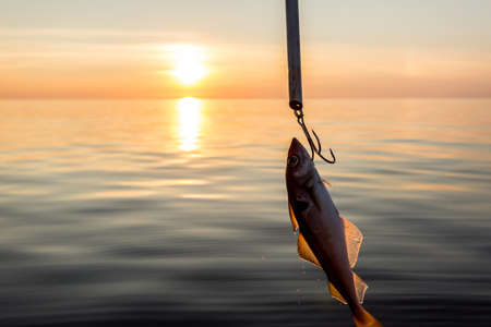 Fish on a hook on the background of the sea, fishing at sunset. Concept of active lifestyleの写真素材