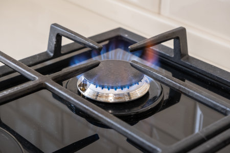 Gas burning in the gas burner of the stove.