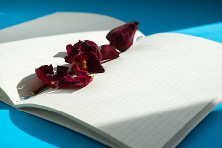 Dry red rose on the pages of an open notebook, side viewの写真素材