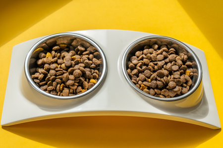 Kibble in pet bowls on the yellow background, close up imageの写真素材