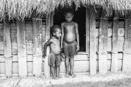 Wamena, Indonesia - January 9, 2010: Dani tribe children standing nea straw houses. Baliem Valley in Indonesia, Papua New Guinea.のeditorial素材