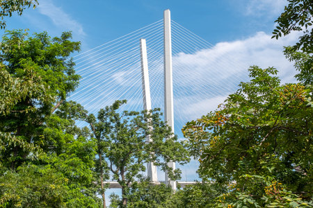 Fragment of Cable-stayed bridge Golden Bridge in Vladivostok, Primorsky Krai, Russia