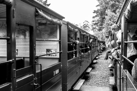 Melbourne, Australia - January 7, 2009: Puffing Billy steam train with passengers. Historical narrow railway in the Dandenong Ranges near Melbourne.のeditorial素材