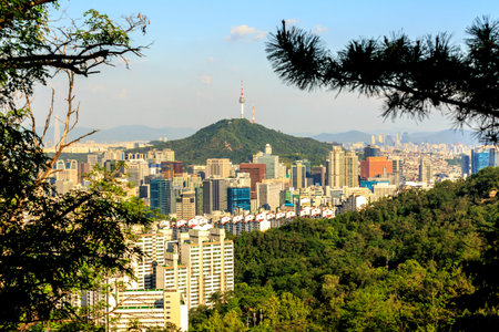 Beautiful view of Namsan tower from the Asan Mountain, Seoul, South Korea.