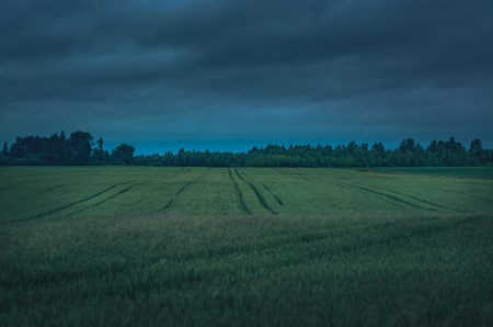 Summer time in Latvia with beautiful nature at farmstead. Stormy weather in country side. Dark clouds and rain. Growing green crop fields.の写真素材