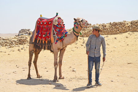 Cairo, Egypt - 19th May, 2018: Arab man with a camel in the desert near the Egyptian pyramids. Waiting for tourists. Tourist attraction.のeditorial素材