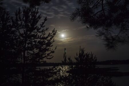 View from the shore of the lake to the pond framed by pine branches. Full moon in the sky. Beautiful night landscape.の写真素材