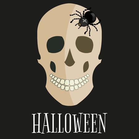 skullのイラスト素材