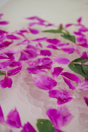 pink peony petals floating in water with green leavesの写真素材