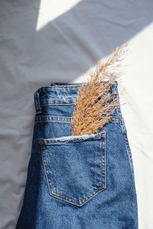 Jeans pocket with dried grass on white background.の写真素材