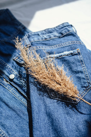 Jeans and dried grass. Jeans and dried grass on white background.