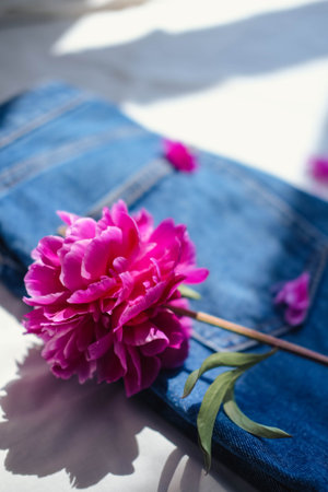 Beautiful pink peony flower on jeans. fashionable concept.の写真素材
