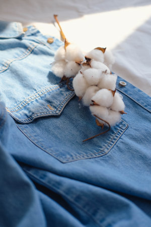Jeans and cotton flowers on the bed, soft focus background.の写真素材