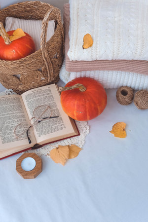 Autumn still life with pumpkins, books and autumn leaves on white backgroundの写真素材