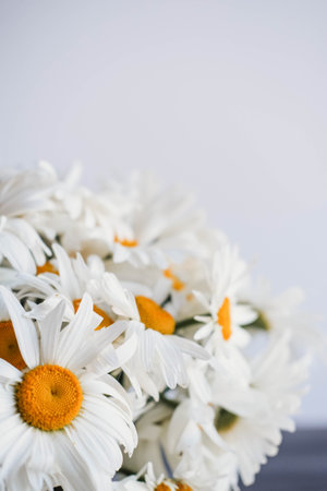 Beautiful bouquet of daisies on a white background.の写真素材