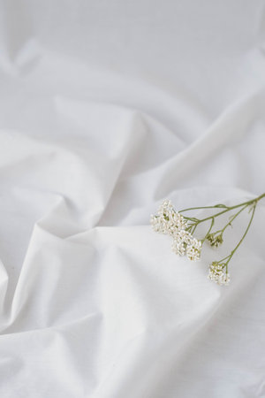 White fabric with white flowers on a white background, soft focus.の写真素材