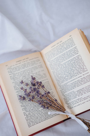 Bouquet of dried lavender flowers on an open book.の写真素材