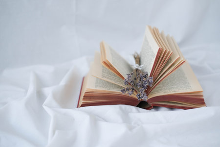 Open book with lavender flowers on white background. selective focus.の写真素材