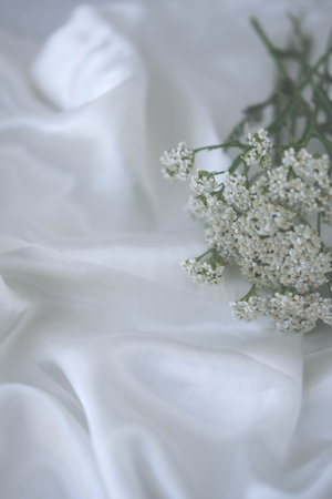 White flowers on white satin fabric, soft focus, shallow DOFの写真素材