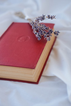 Dried lavender flowers and a red book on a white fabricの写真素材