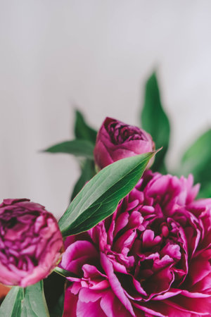 Bouquet of pink peonies on a light background. selective focus.の写真素材