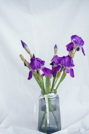 Purple irises in a glass vase on a white backgroundの写真素材
