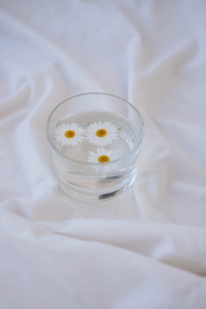 Chamomile flowers in a glass of water on white fabric