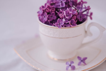Beautiful lilac flowers in a cup on a white background.の写真素材