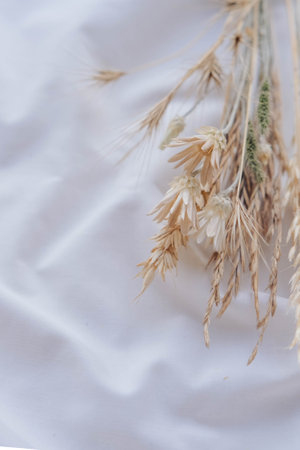 Wheat flowers on white background. selective focus. nature.の写真素材