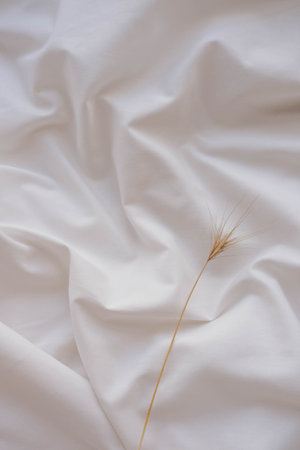 Ears of wheat on a white satin background, top viewの写真素材