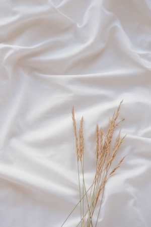 white fabric background with dried grass, soft focus and vintage tone.の写真素材