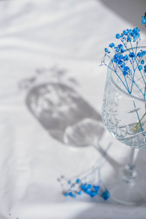 Blue gypsophila flowers in a glass on a white backgroundの写真素材