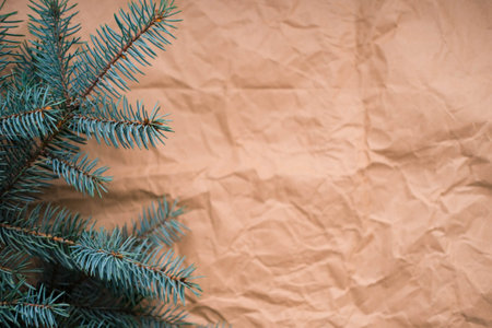 Christmas tree branch on crumpled paper background. copyspace.の写真素材