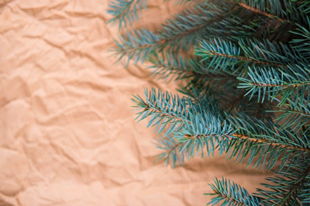 Christmas tree branch on crumpled paper background. copyspace.